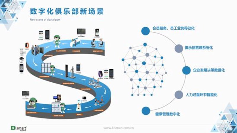 企业信息化：数字化转型的必由之路